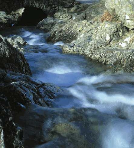 water